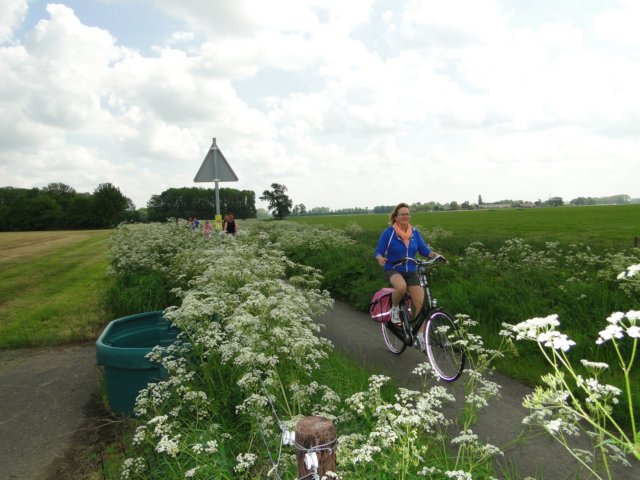 HWK 2012 268.jpg